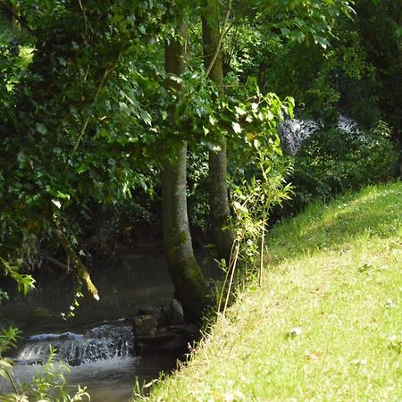 Les Gites Insolites De La Cascade Lespesses 외부 사진